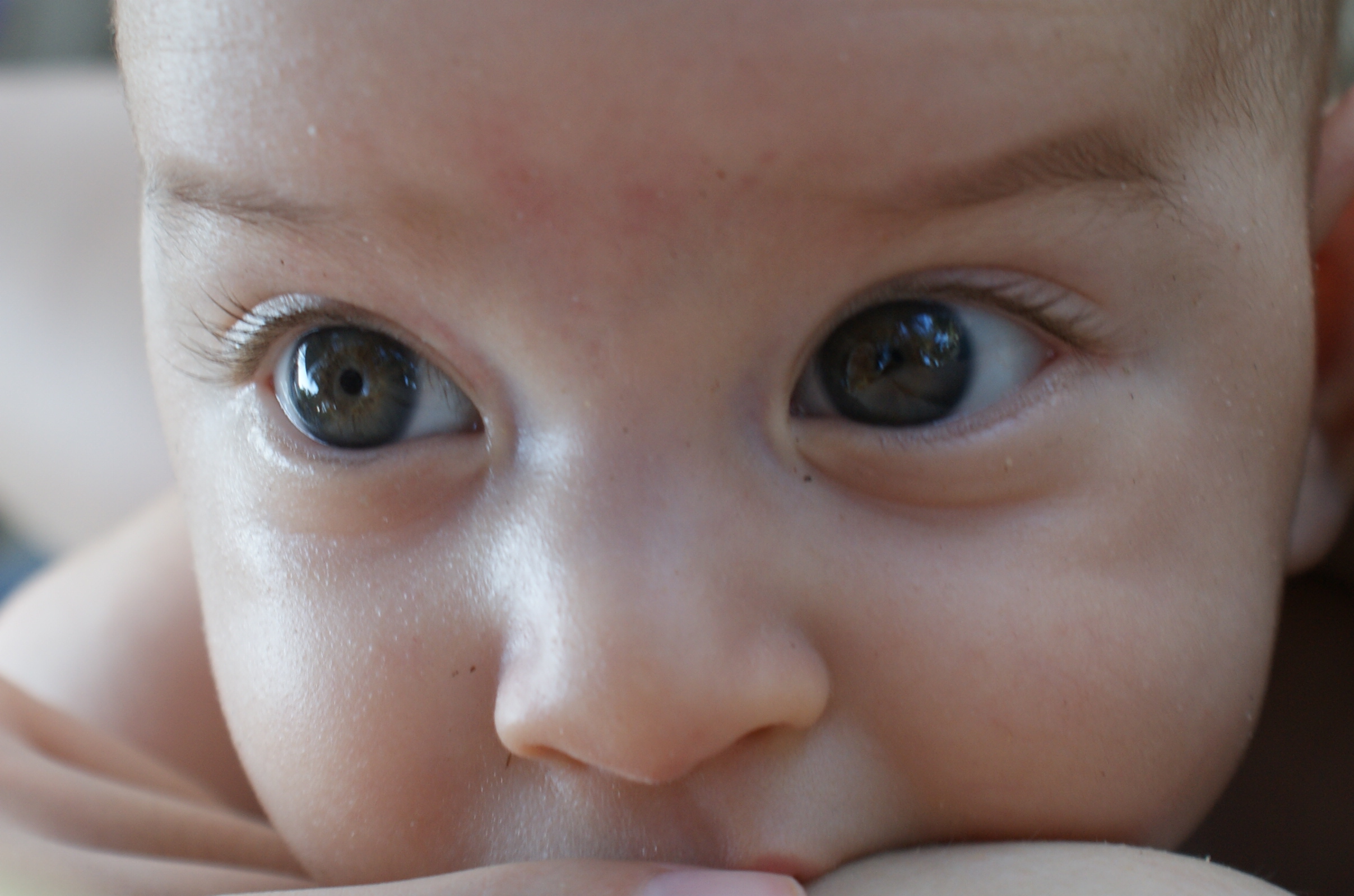 SONY DSC